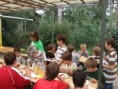 /album/a2008-saisoneroffnung-d-jugend/dscf1827-small-jpg/